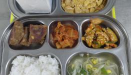 /files/thumbnails/049/067/262x150.crop.jpg?t=1777255907