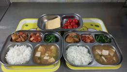 /files/thumbnails/490/066/262x150.crop.jpg?t=1765780957