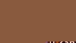 /files/thumbnails/490/087/262x150.crop.jpg?t=1793141608