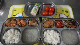 /files/thumbnails/714/066/262x150.crop.jpg?t=1770335006