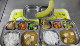 /files/thumbnails/805/066/262x150.crop.jpg?t=1772424857