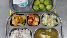 /files/thumbnails/821/066/262x150.crop.jpg?t=1772794546