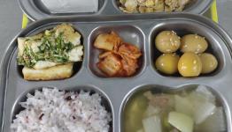 /files/thumbnails/872/066/262x150.crop.jpg?t=1773721213